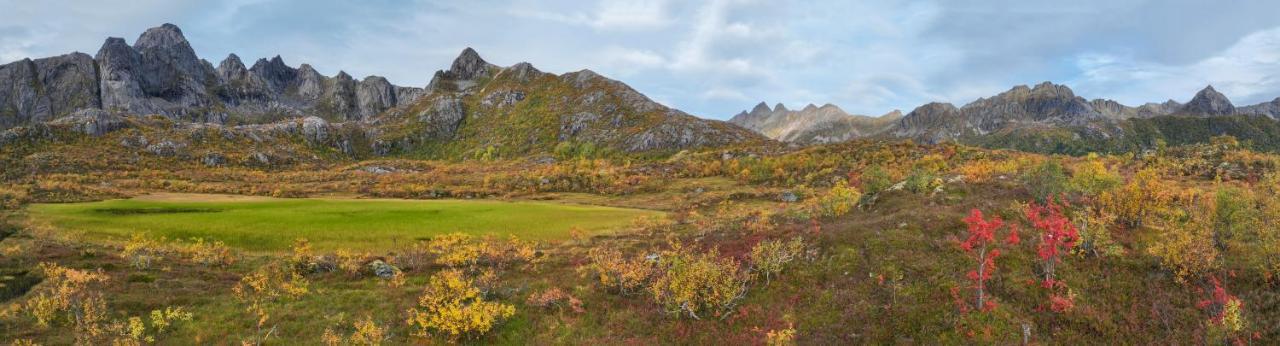 Wildlife Panorama Lofoten Bostad Ngoại thất bức ảnh