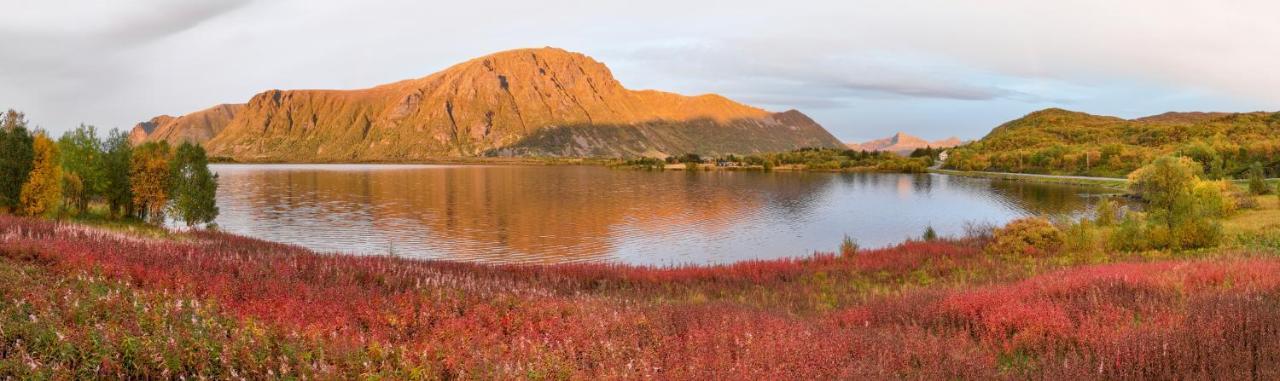 Wildlife Panorama Lofoten Bostad Ngoại thất bức ảnh