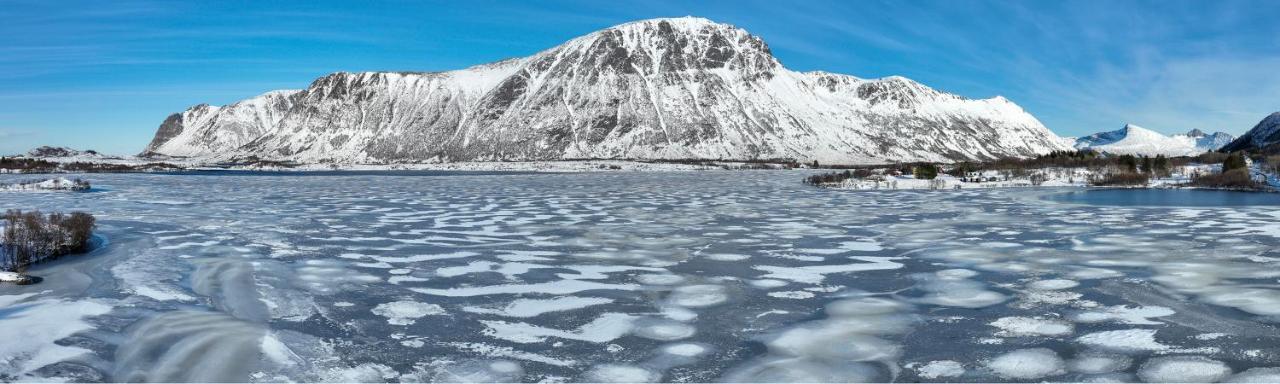 Wildlife Panorama Lofoten Bostad Ngoại thất bức ảnh