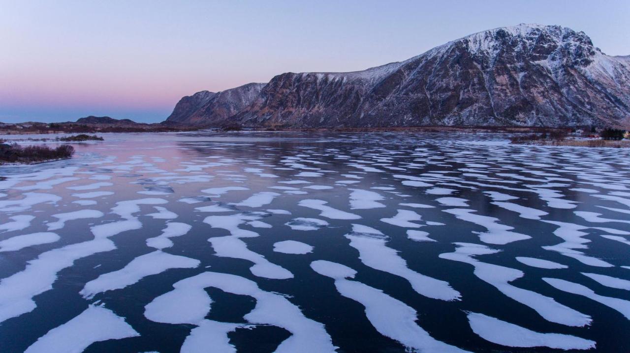 Wildlife Panorama Lofoten Bostad Ngoại thất bức ảnh