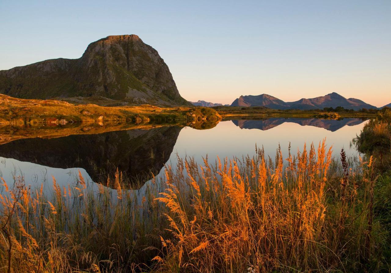 Wildlife Panorama Lofoten Bostad Ngoại thất bức ảnh